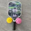 Raquete de Pickleball Sm001-1 de Fibra de Vidro Conjunto de Esportes ao Ar Livre para Crianças e Adultos