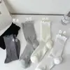 Calcetines finos de estilo japonés para mujer para primavera y verano, calcetines de malla hueca de color liso hasta la pantorrilla, calcetines de encaje apilados estilo ballet para chica JK