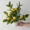 Simulación Planta Verde Limón Maceta Árbol de Limón Fruta de Limón Pequeña Maceta Transfronteriza Accesorios de Fotografía Decoración de Escritorio Escritorio