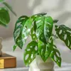 Plantas Verdes Simuladas Folha de Tartaruga Folha de Begônia Folha de Maçã Folha com Buracos Paisagismo de Micro Paisagem Materiais de Folha Materiais de Combinação para Decoração de Interiores Estilo Floresta
