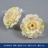 Flor artificial cor champanhe flor rosa estilo europeu buquê DIY buquê de noiva caixa de flores flor decorativa adorno de cabeça adereços de fotografia