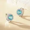 Nuevos Pendientes de Imitación de Moissanita de un Quilate de Moda para Mujer, Redondos y Súper Brillantes, Clips para Orejas de Celebridad de Internet