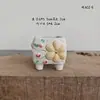 Vaso de Flor Carnuda Cerâmica Jardinagem Cerâmica Mini Novo Criativo Grés Casa Vintage Novo Vaso de Porcelana Vaso