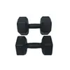Halteres para Homens, Equipamento de Fitness para Casa, Kettlebells Femininos para Treinamento Muscular dos Braços, um Par de Halteres Hexagonais Revestidos de Borracha Conjunto para Estudantes