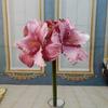 Buquê de Clívia Simulado DIY Decoração de Dia das Mães Orquídea Pu Atacado Decoração de Casa Flor Artificial Clívia