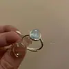 Anillo Índice de Diseño de Nicho Otoño e Invierno Transfronterizo Anillo Abierto de Mascota Divertido y Lindo Anillo de Gama Alta Femenino Elegante Ins Venta al por Mayor