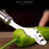 Removedor de Miolo de Pimenta de Aço Inoxidável, Removedor de Sementes de Pimentão Verde, Removedor de Miolo de Pimenta, Extrator de Miolo de Melão Amargo Doméstico, Ferramenta Pequena, Atacado em Estoque