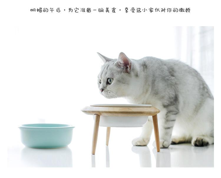 飞碟猫碗_10.jpg