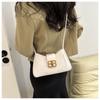 Bolso de Moda Bolso de Hombro Cruzado de Alta Gama para Mujer 2024 Primavera Nuevo Bolso de Axila Diseño Nicho Popular en Internet Bolso para Mujer