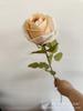 Rosa seca artificial recomendar vintage queimado borda tiro adereços falso Bouquet decoração cross-border Rosa
