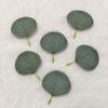 Hojas de Eucalipto Artificiales Transfronterizas, Hojas de Manzana de una Sola Pieza, Hojas de Eucalipto, Enredaderas para Decoración de Paisajismo, Accesorios de Flores Artificiales