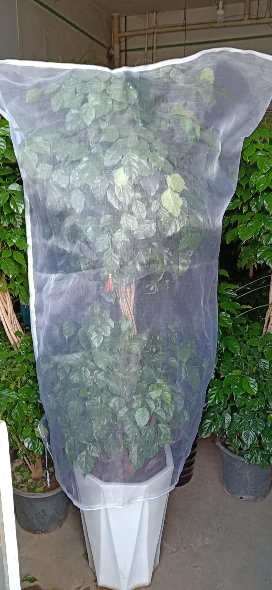 mmexport1608261440321