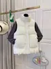 Colete de Moda 2025 Lightning Warehouse para Mulheres, Roupa Externa para Outono e Inverno, Nova Jaqueta Colete Curta Engrossada Tendência