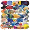 50 Pegatinas Transparentes de Peces Ornamentales Tropicales para Decoración, Cuaderno Hecho a Mano, Computadora, Maleta, Refrigerador, Dispensador de Agua Materiales DIY