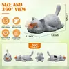 Lámpara Solar Nueva y Creativa con Forma de Gato Transfronteriza, Artesanías Únicas de Resina, Adornos para Jardín y Patio, Regalos Navideños