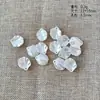 Acessórios DIY Atacado Pétala de Acrílico Flor Pétala de Concha Folha Acessórios de Cabelo Grampo de Cabelo Brincos Acessórios