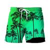 Pantalones Cortos de Playa Estilo Hawaiano para Hombre, Estampado Digital 3D, Europeos y Americanos, Transfronterizos, para Verano 2024, Juventud, Viajes