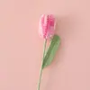 Círculo de Moda Fotografia de Rua Buquê Crochê Gradiente Tulipa Galho Flor Segmento Corante Colorido Reunião de Estúdio Ornamentos de Mesa