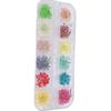 Juego de flores secas del tamaño de una uña, Gypsophila, 12 colores, margarita pequeña, hoja verde, árbol perenne, planta tridimensional, narcisos