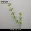 Plantas Verdes, Hierba de Junco, Hierba Bigote de Dragón, Fondo de Boda, Paisajismo de Ventana Floral, Flores Decorativas para Boda en Bosque Blanco y Verde