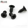 Tornillos para Bisagras Jonas Cabeza Plana Cabeza Avellanada Tornillos Autorroscantes Tornillos Autorroscantes Negros M2m2.3m2.6m3m4m5