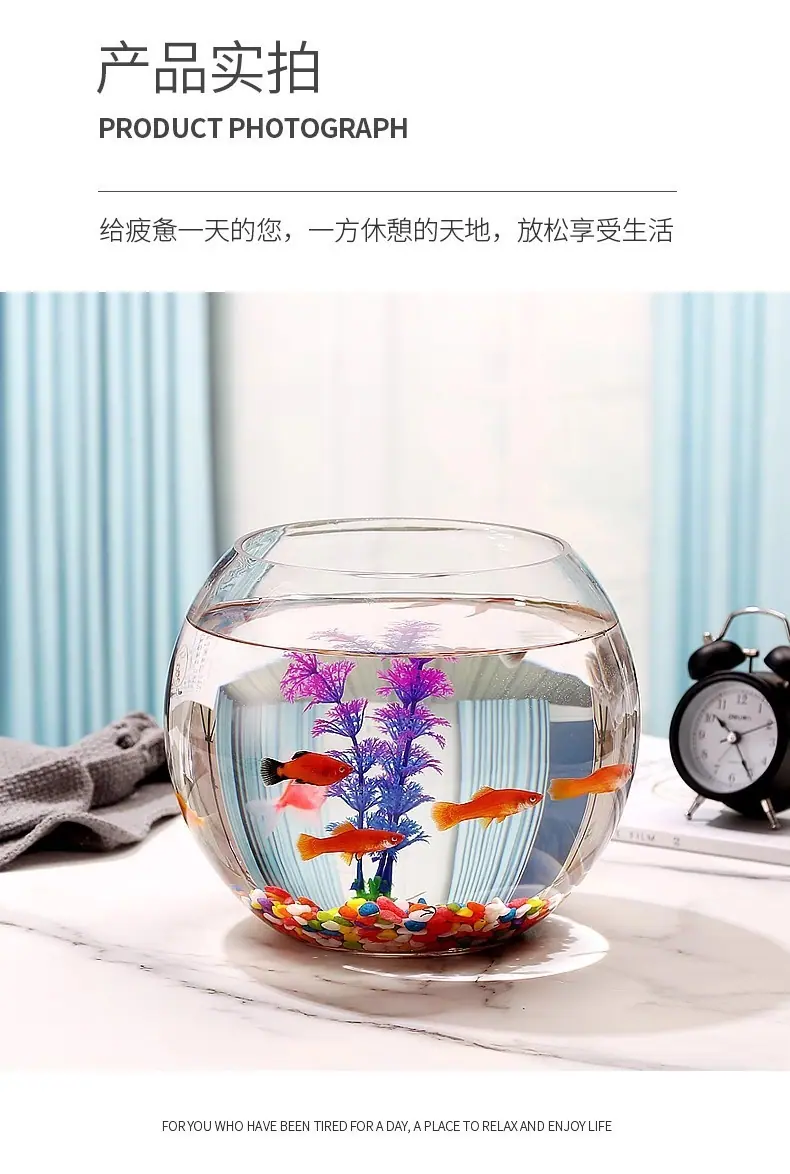 8666ba61-108e-43e9-afee-3b1e4db43a42.jpe