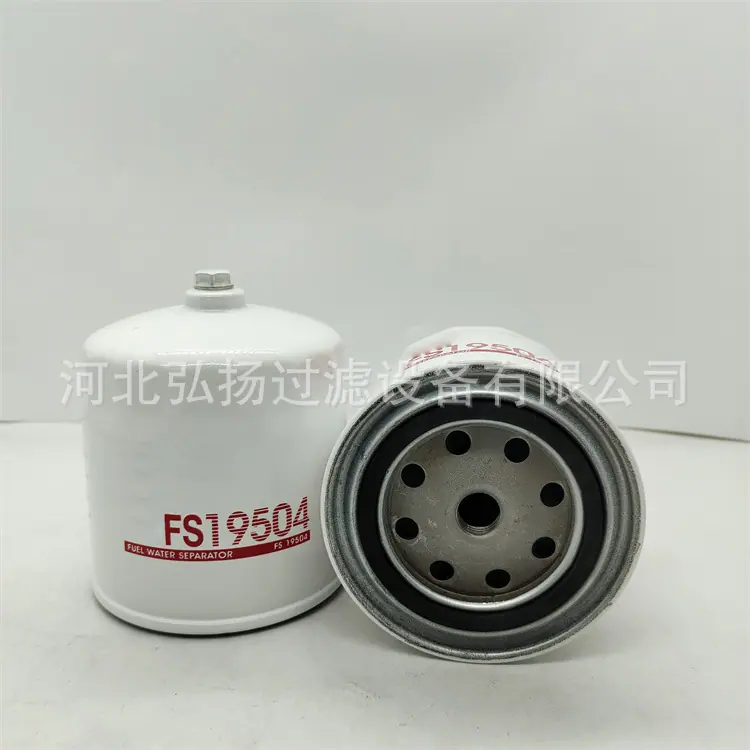 FS19504 (3)