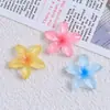 Cor gradiente transparente flor de cinco pétalas desenho animado acessórios de joia diy furos sapatos fivela pacote de material cola creme resina pequenos acessórios