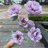 Flores de imitación para boda, venta al por mayor, 6 rosas de hibisco, nuevas peonías de té, peonías para bodas, hoteles, decoración del hogar, flores falsas