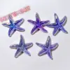 Acrílico accesorios DIY accesorios zapatos flor material hecho a mano papelería clip parche plateado aurora brillo estrella de mar