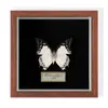 Especimen de Mariposa Real Colgante de Madera Estilo Nórdico Simple Moderno Regalo de Cumpleaños Marco de Fotos de Madera Simple