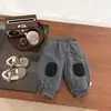 Pantalones Gruesos de Polar para Niños para Otoño e Invierno, Pantalones Jogger Gruesos y Cálidos Estilo Coreano para Bebés, Pantalones Elegantes de Pierna Ancha para Bebés