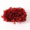 5 gramas de 100 gramas de Hortênsia Anna Classe B Artigos Transparentes Cor Quebrada Código Quebrado Micro Defeitos Flor Eterna Hortênsia de Madeira Flores Preservadas