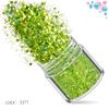 Kit de Unhas Verdes Transfronteiriço 12 Cores Misturadas Lantejoulas para Nail Art Laser Pó Escarlate Joias para Nail Art Broca Adesivo para Unha
