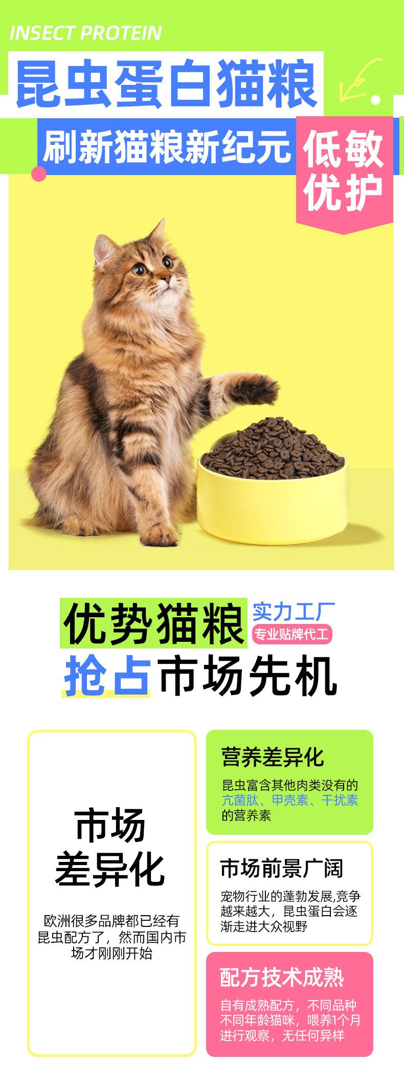 昆虫猫粮_02.jpg