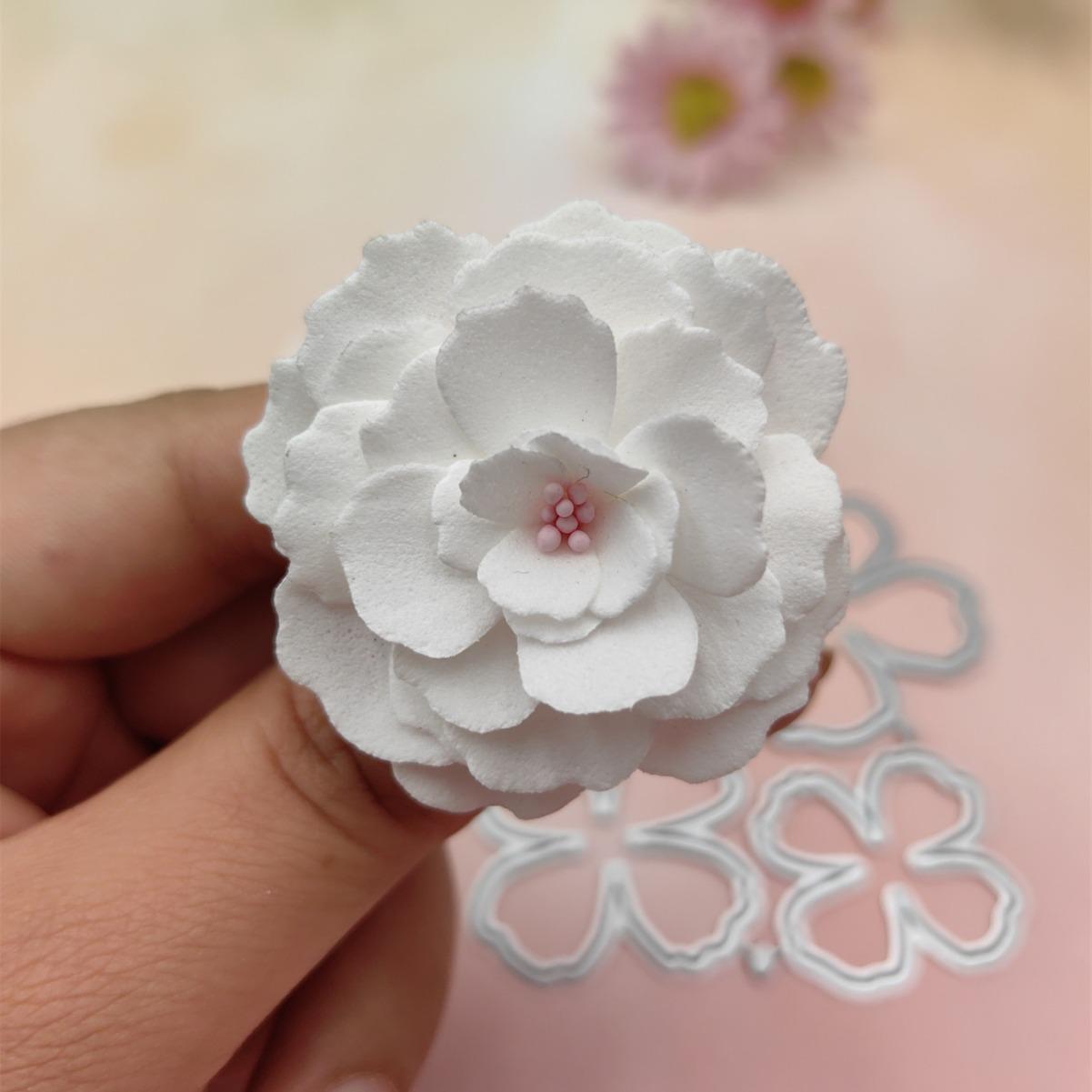 2024-06-25 11:09:34.jpg