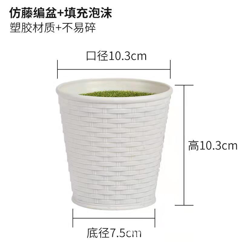 微信图片_20220125195633