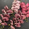 Alta qualidade 8 cabeça flor de cerejeira lábio borboleta orquídea sentir Phalaenopsis mesa nórdica decoração foto adereços design floral