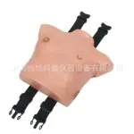 高级着装式乳房自检模型YR-4R