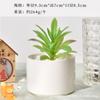 Macetas de Porcelana Blanca Transfronterizas Amazon Macetas Cerámicas para Suculentas Simples Creativas Blanco y Negro para Interiores Macetas para Orquídeas Plantas Verdes