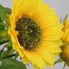 Girasol Artificial de una Sola Cabeza Flor Artificial Decoración Suave para el Hogar Sala de Estar de Pie Girasol Artificial al por Mayor Disponible en Stock