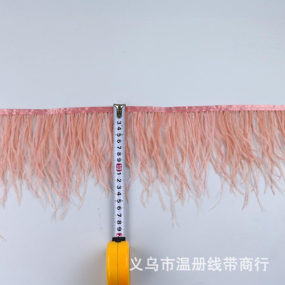 51 ostrich feather fringe 6