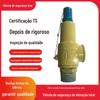 Válvula de Segurança Tipo Mola A22H-16/25/40C Oxigênio Mola Totalmente Aberta Rosca Externa Média