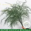 Verdor para Bodas Hierba Barba de Dragón Verdadero Hierba Espárrago Bosque Blanco Verde Estilo Decoración Fondo Colgante Arreglo Floral Decoración de Carretera Flores Artificiales