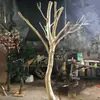 Arreglo Floral con Tronco de Árbol Empalmado y Decoraciones de Rama para Exhibición en Sala de Estar, Madera Natural, Resistente a Insectos, Ramas de Árbol Falsas, Producto Nuevo