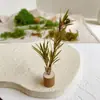 Caja Misteriosa Decoración Bosque Micro Paisaje Musgo Corteza Material DIY Casa de Muñecas Escena Accesorios Hechos a Mano Material