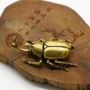 Escarabajo de Latón Ceremonia del Té Mascota de Té Adorno Cobre Puro Tianniu Pisapapeles Artesanía de Cobre Antigua Llavero de Unicornio Hada