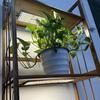 Luz LED de crecimiento de plantas de fábrica de origen, luz de plantas de interior, luz de relleno de espectro completo, luz LED, luz de estante de interior