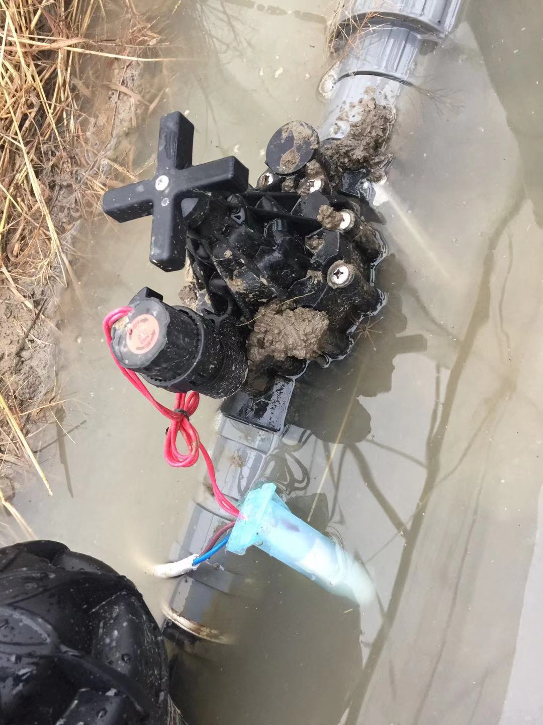 微信图片_20181108133909