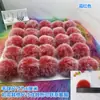 Al por mayor en stock Pompones de Piel de Conejo Sintético de 6 cm Materiales Coloridos para Manualidades para Ropa, Zapatos, Sombreros, Bolsas, Colgantes, Accesorios de Pompones de Felpa